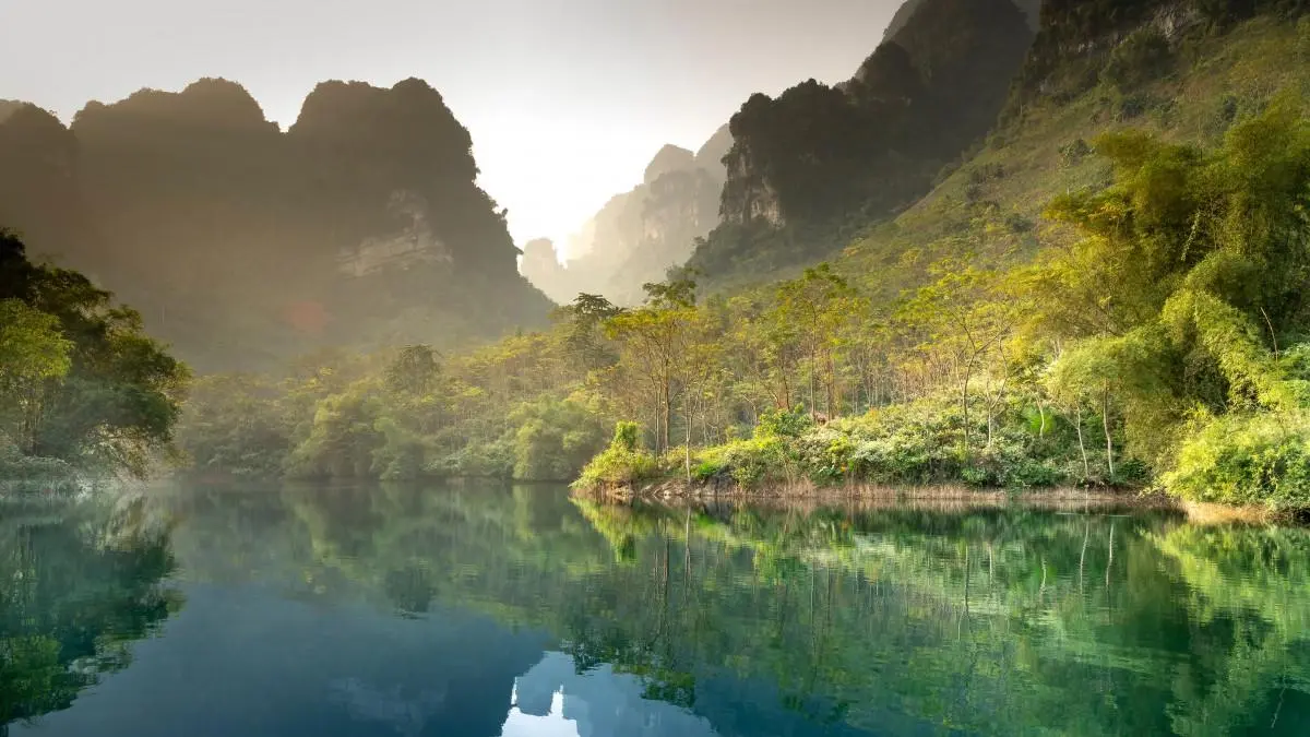 科技高效科技